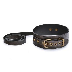 vintage style collar with leash