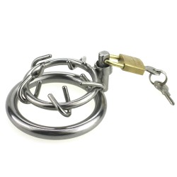 stainless steel crown of thorns chastity device